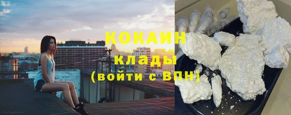 прущий лед Алзамай