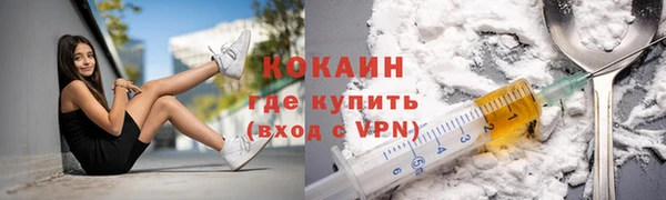 прущий лед Алзамай