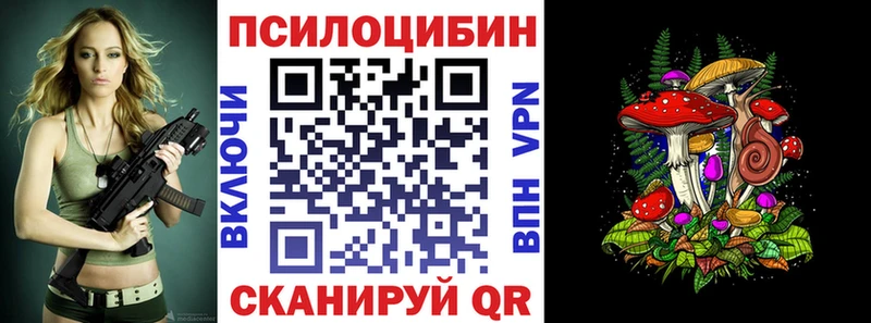 Псилоцибиновые грибы мухоморы  hydra маркетплейс  Чишмы 